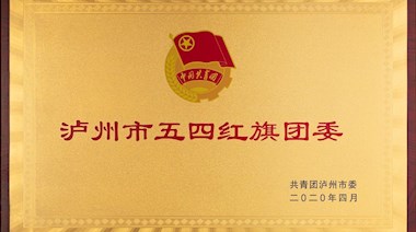 瀘州市五四紅旗團(tuán)委